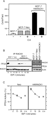 FIG. 7.