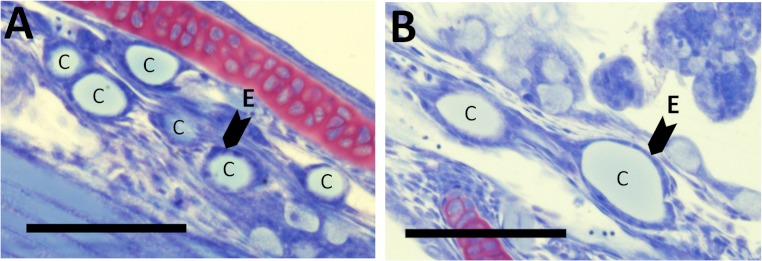 Figure 7