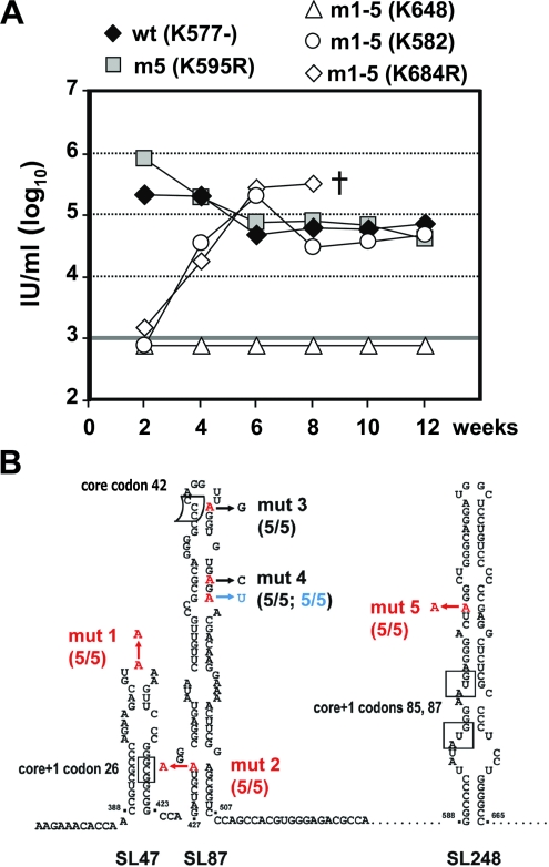 FIG. 7.