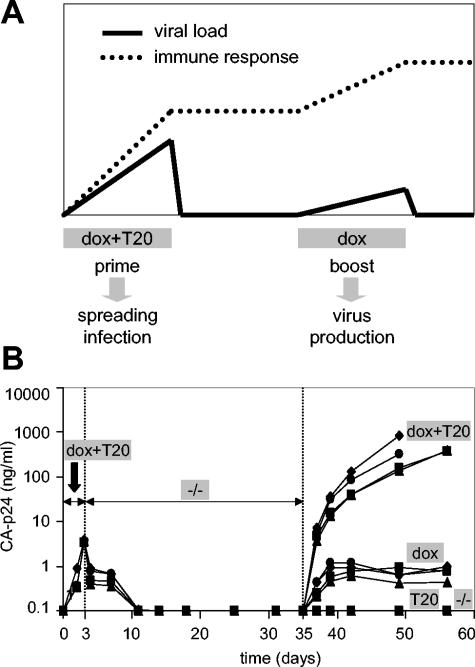 FIG. 2.