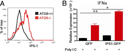 Fig. 3.