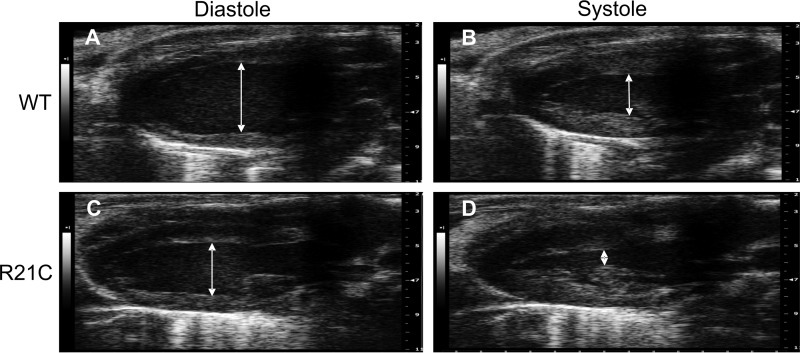 FIGURE 1.