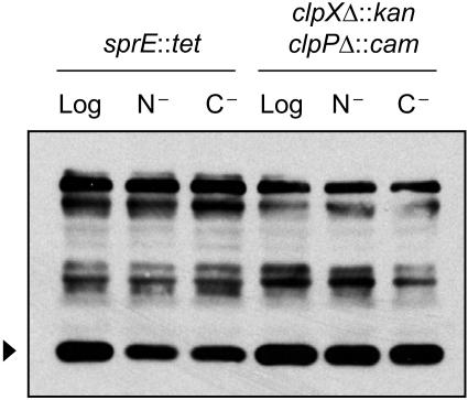 FIG. 4.