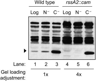 FIG. 5.