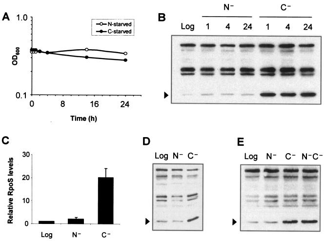 FIG. 1.