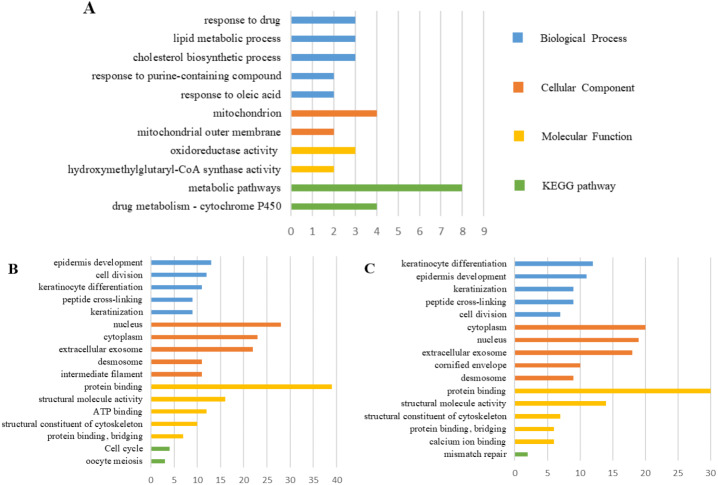 Comprehensive analysis and identification of key genes and signaling ...