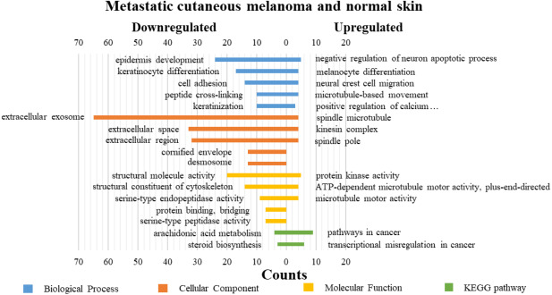 Comprehensive analysis and identification of key genes and signaling ...