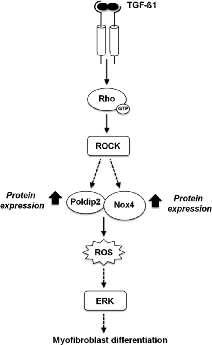 Fig. 10.