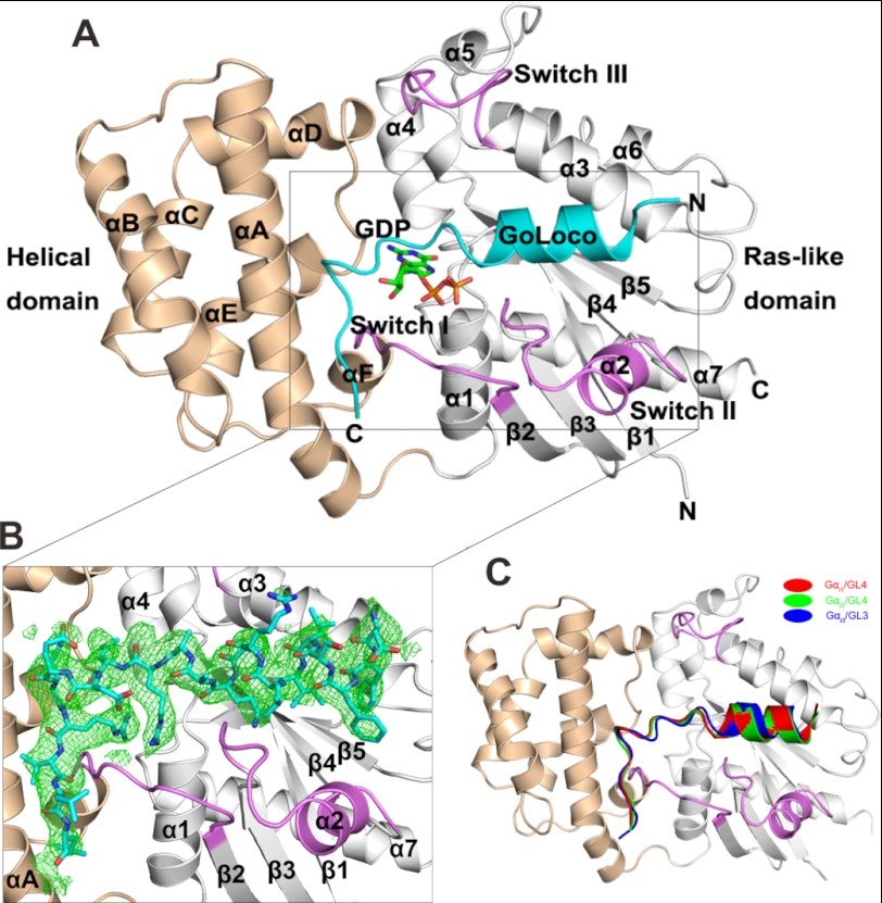 FIGURE 4.