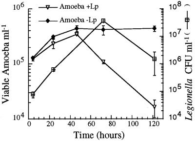 FIG. 1