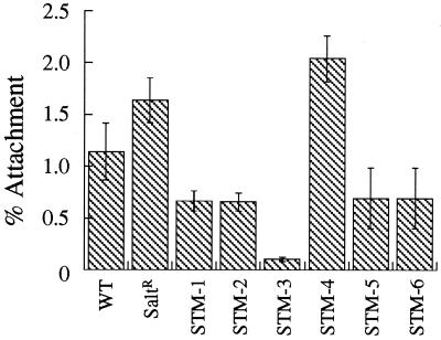 FIG. 3