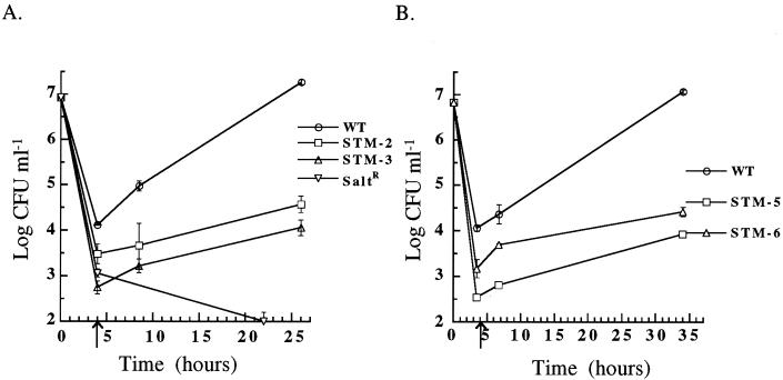 FIG. 6