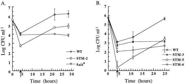 FIG. 8