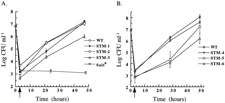 FIG. 7