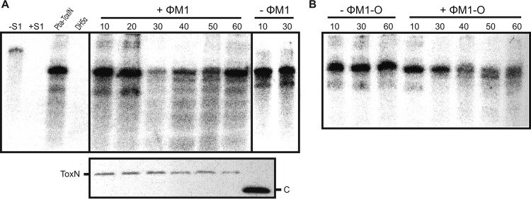 FIG 2