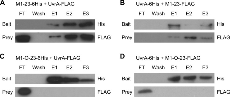 FIG 4