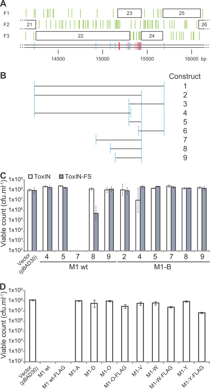 FIG 3