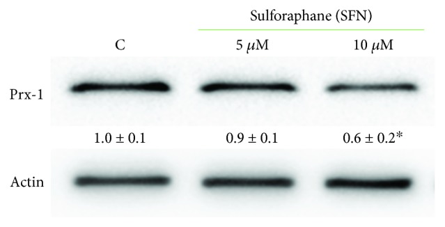 Figure 8