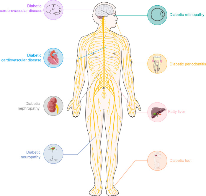 Figure 1