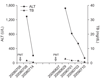 Fig. 5