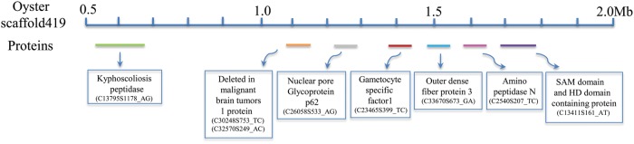 Figure 3.