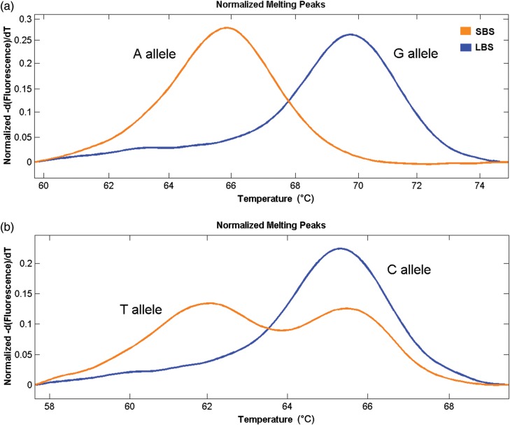 Figure 5.