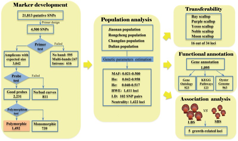 Figure 2.