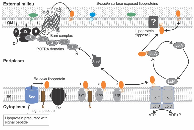 FIGURE 3