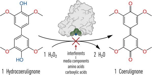 Fig. 1