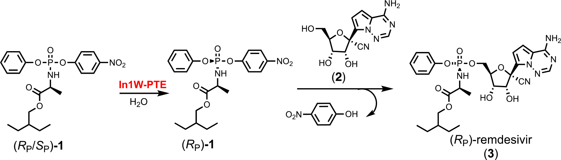 Scheme 2.