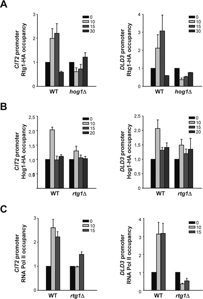 FIGURE 3: