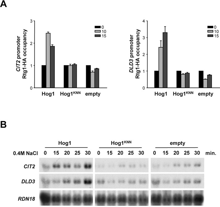 FIGURE 5: