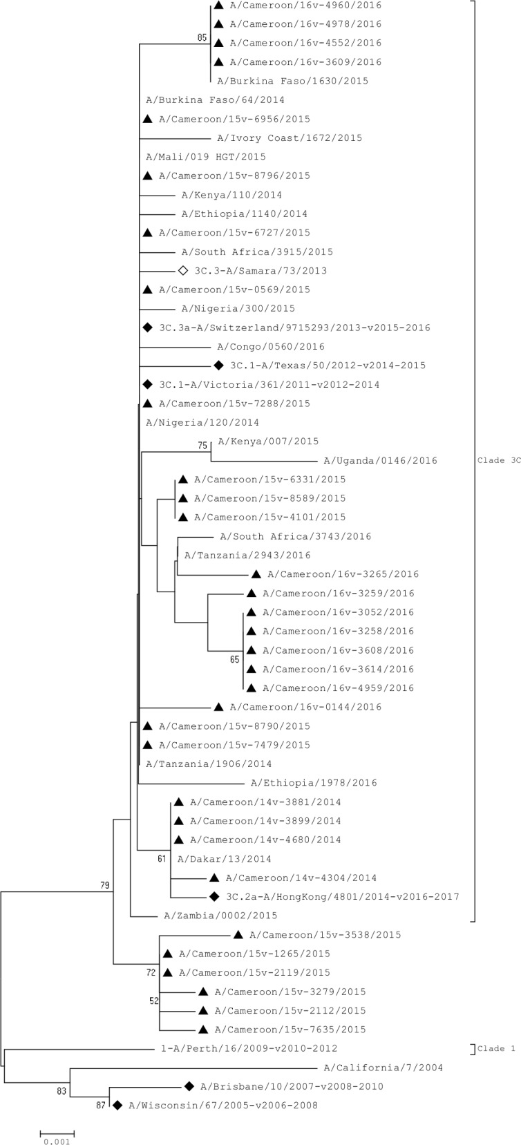 Fig 3