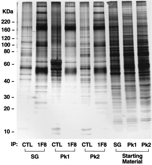 FIG. 8