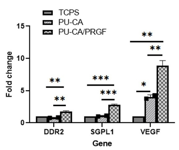 Fig. 11