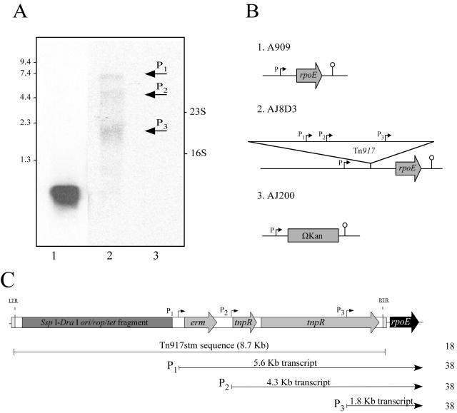 FIG. 5.