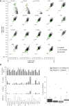 Figure 3—figure supplement 1.