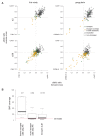 Figure 3—figure supplement 2.