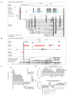 Figure 5—figure supplement 1.