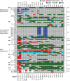 Figure 4—figure supplement 1.