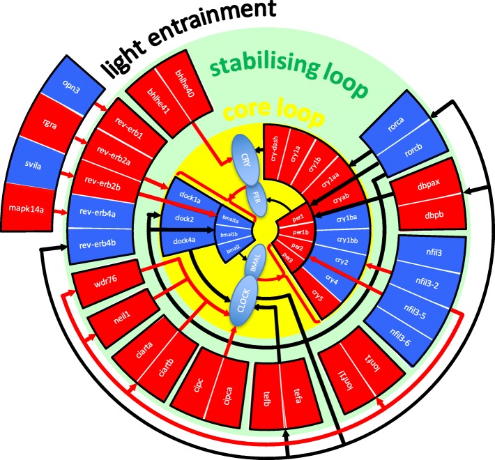 Fig. 2