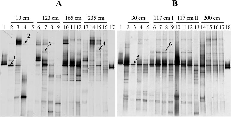 FIG. 6