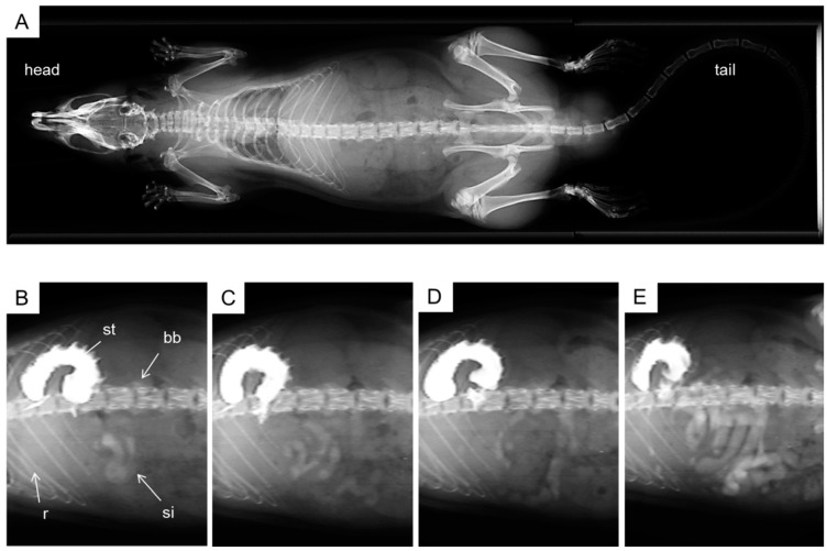 Figure 4