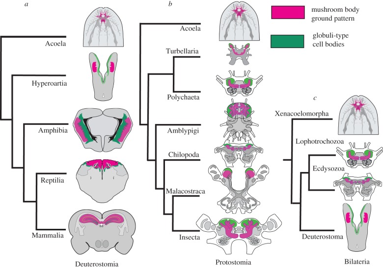 Figure 6.