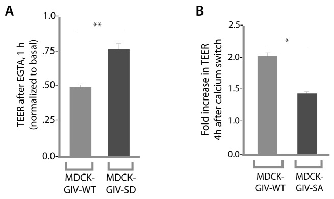 Figure 4—figure supplement 2.