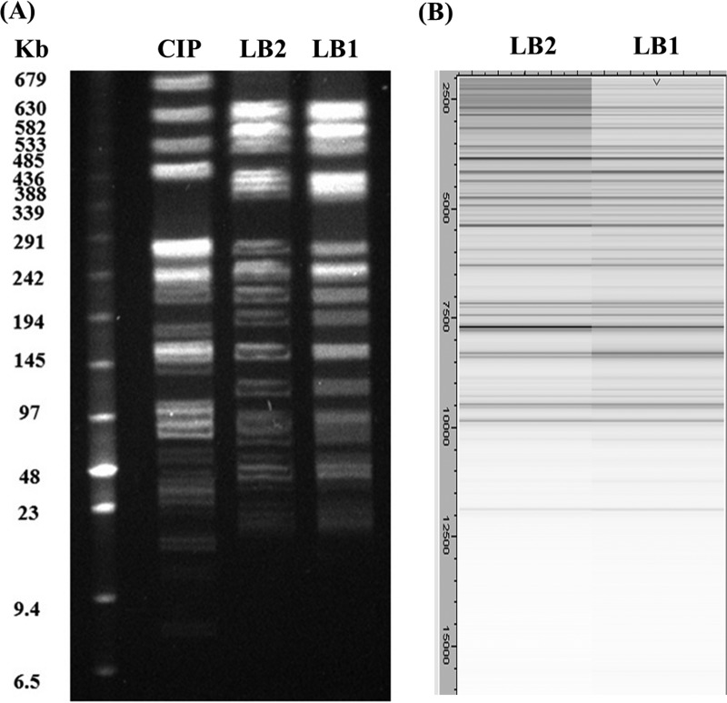 FIG 2