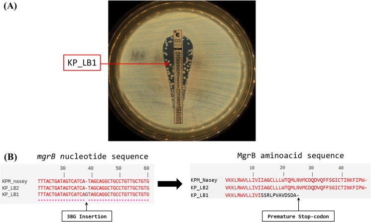 FIG 1