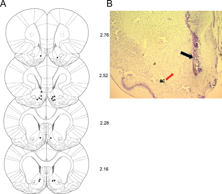 Fig. 5.