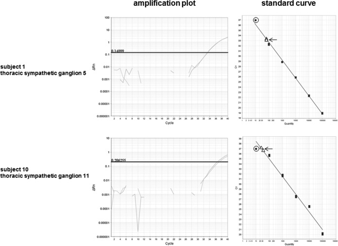 FIG 2