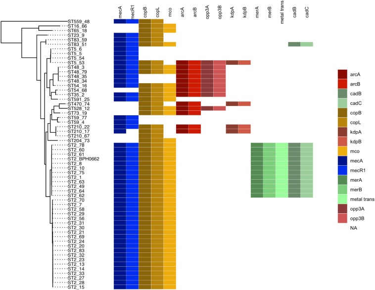 FIGURE 1